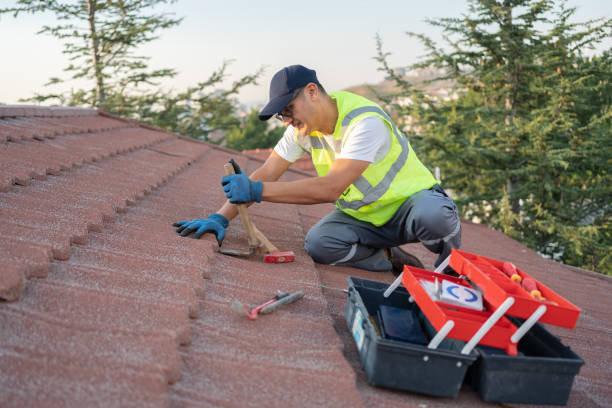 Best Roof Waterproofing Services  in South Run, VA